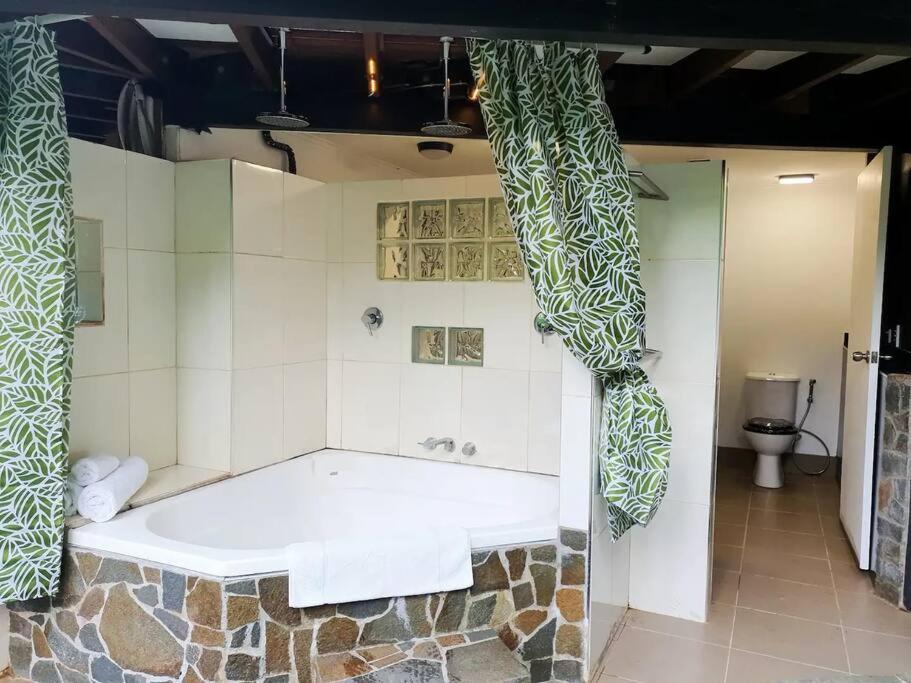 Treeverb Beach House - Daintree Cow Bay Dış mekan fotoğraf